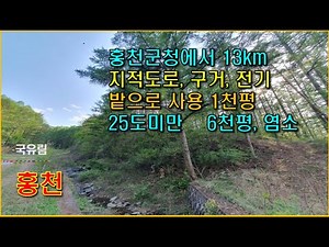 강원도 홍천임야 9,120평 작은계곡/지적도로 접한 밭으로 쓰는 평지와 완만한 경사입니다