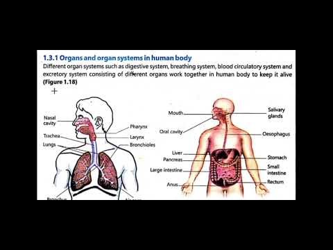 Grade 6 Science Unit 1 Lecture 1 P2 | MI Khan Campuses | Dar e Arqam