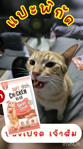 ของอร่อย ที่ิ #แมวส้ม ชอบ #ทาสแมว #ต้องมี พิกัด code #shopee AWZ-YSP-JAW #shopeeaffiliate 🐈🐈