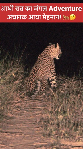 जंगल में dinner करते वक़्त यह कौन आ गया? 😱 || अंधेरे जंगल का अनजान मेहमान! 🤷🏼 || #NightCamping