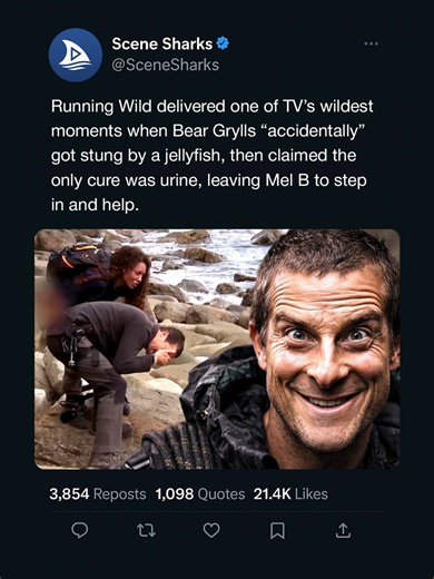 Bear Grylls Life Saved By Mel B #movietok #foryou #beargrylls | bear grylls