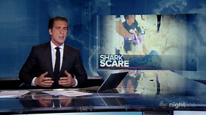 When sharks attack: What you need to know to protect yourself