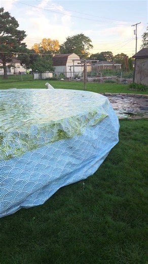 how to clean above ground pool