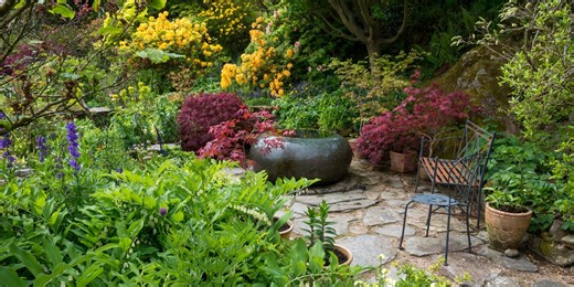 4 shady garden design secrets that will transform your outdoor space