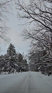 #IDoNotOwnTheCopyRightsToThisMusicInTheBackground | Row-ena Candido