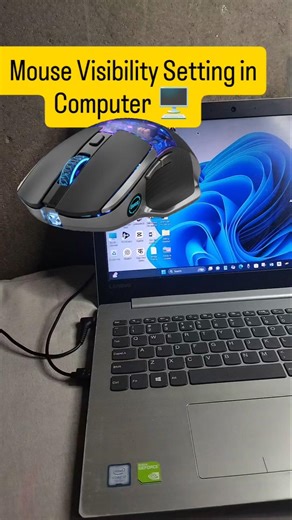 Computer mouse pointer visibility setting #shortsfeed #computer