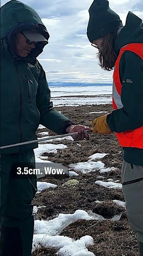 Tracking Tundra #Shorts | Climate Crew | Parks Canada