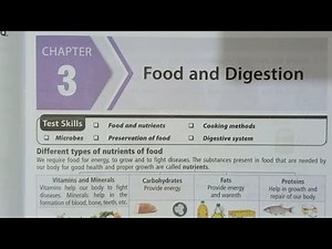 CLASS 4 SCIENCE OLYMPIAD | CHAPTER 3 FOOD AND DIGESTION | THEORY AND PRACTICE QUESTIONS
