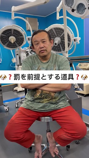 チョークチェーンの正しい使い方と犬のしつけ