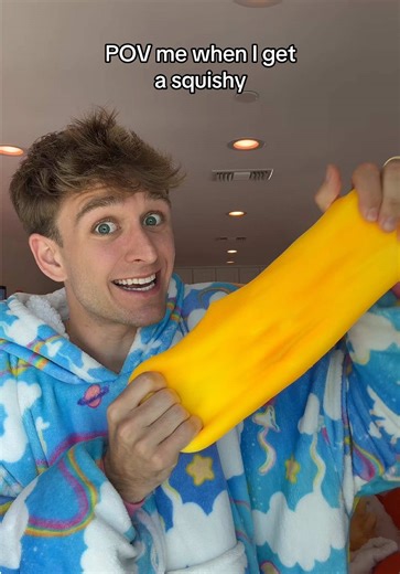 Breaking the Viral Cheese Squishy: A Toy Fail?