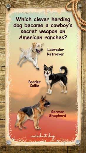 Which Herding Dog Mastered the American Frontier? 🌵 Wild West Trivia Quiz