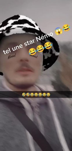 #nice #nemo #hichlavie #canailles