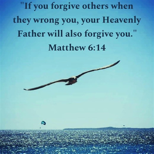 [Forgiveness] - A Slice of Life poetry