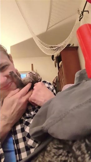 19 day old kitten being adorable #kittenlove #kitten #cat