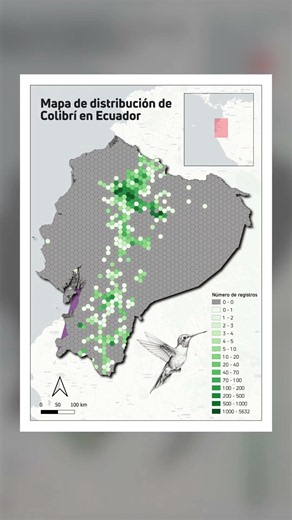 Diseña mapas listos para publicar con QGIS 🗺️