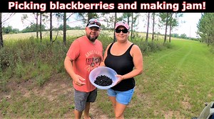 We pick blackberries in this episode and try our hand at making jam. #blackberry #blackberryjam #makingjam Our Patreon https://www.patreon.com/tkcl Our Facebook https://www.facebook.com/The-Kelleys-country-life-100823978591786 Our YouTube channel https://www.youtube.com/c/TheKelleysCountryLife Our merchandise, thanks for the support! https://www.bonfire.com/the-kelleys-merch/ This is our Amazon store with affiliate links to the products we use on the channel. It doesn't cost you anymore and it h
