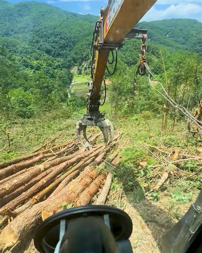 16K views · 41 reactions | Hydraulic Loader Stacking Logs On Truck. #LogLoading #LoggingWork #ForestryMachine #TimberTransport #HeavyMachinery | Fun club | Facebook