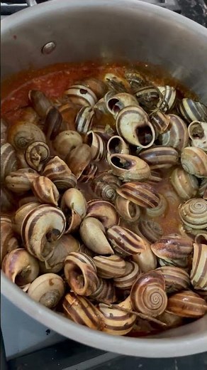 🐌🌿 Escargots parfumés au thym (recette traditionnelle berbère)