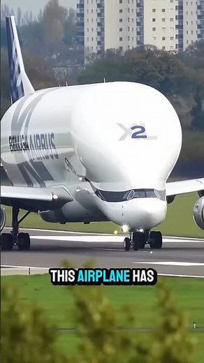 The Plane with the World’s Biggest Forehead