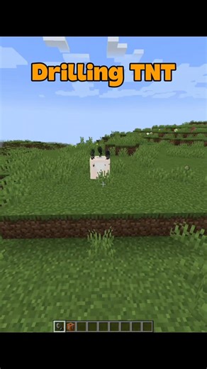 Minecraft TNT Experiment Gone INSANE 💥 #shorts