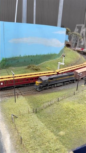 mini Steamrail and Freight trains 🚂