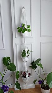 Macrame Plant Hanger Pattern: Single, Two & Three Tier DIY (PDF Pattern) - Etsy