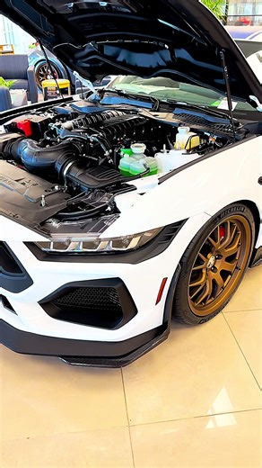 2025 GT COUPE PREMIUM SPORTS CAR5.OL