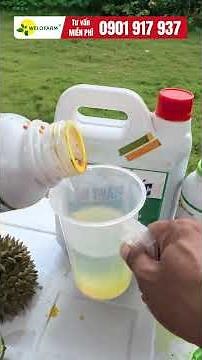 ✅ Extremely simple ways to raise soil pH - How to quickly and effectively raise the pH of acidic ...