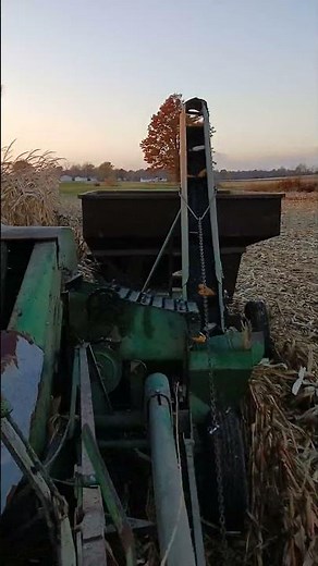 Back at picking ear corn with the Oliver No.5 picker!!