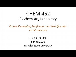 CHEM 452 - Protein Expression, Purification and Identification: An Introduction