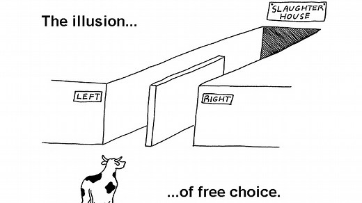 The Illusion of Free Choice | Know Your Meme