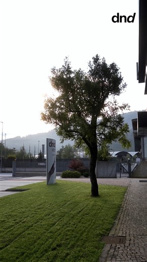 2.8K views · 47 reactions | The photovoltaic system installed on the...