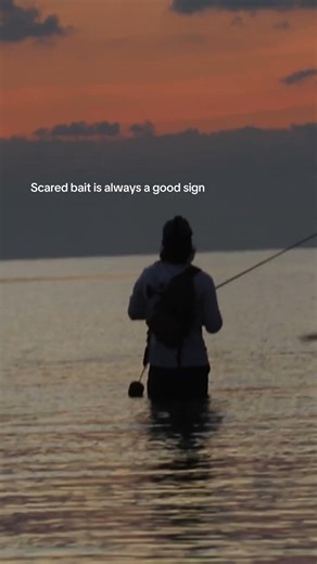 Slicks are a good sign too