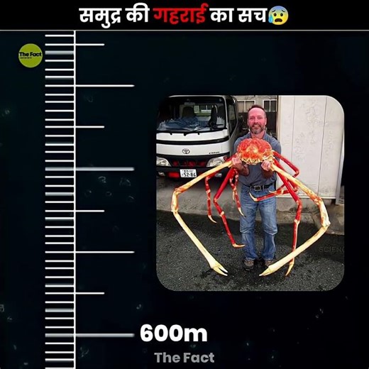 THE FACT💀 #viral #shortsfeed