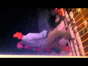 Anniversary house firework