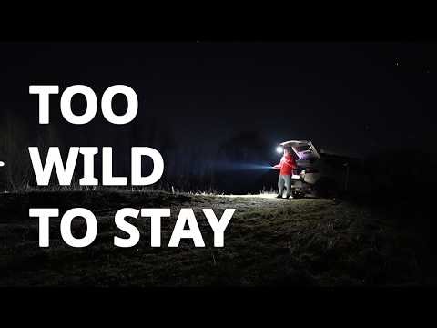 Sofirn ST2 in a Wild Camp: Strong Beam, Great Red Light, Awkward Controls