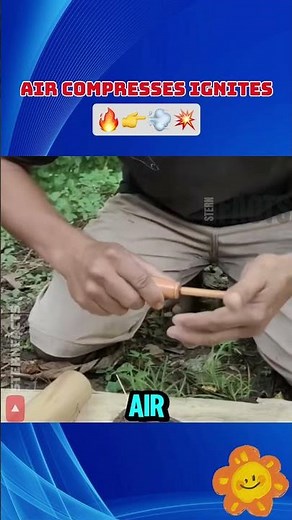 The Fire Piston: Nature’s Original Fire Starter 🔥