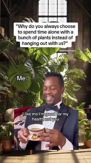 That part 💯😌🪴#plants #houseplants #indoorplants #plantsofig #instaplants #plantmom #plantfriends #plantparent #plantparenthood #funnymemes | Plant Me In The Dirt