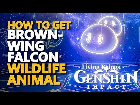 Brownwing Falcon Genshin Impact Location