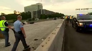 40K views · 265 reactions | Dozens of cows were on the moove this morning when a cattle truck overturned on an Atlanta-area highway, and they're not going back quietly. https://nbc4i.co/2P2Ksde | NBC4 | Facebook