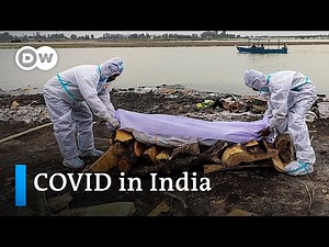 India: Bodies of suspected COVID-19 victims wash up on Ganges riverbanks | DW News