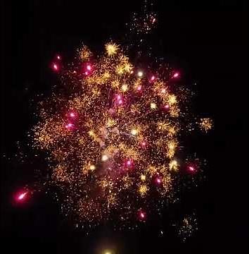 Happy Holiday firework cake. 100 shot 4/1