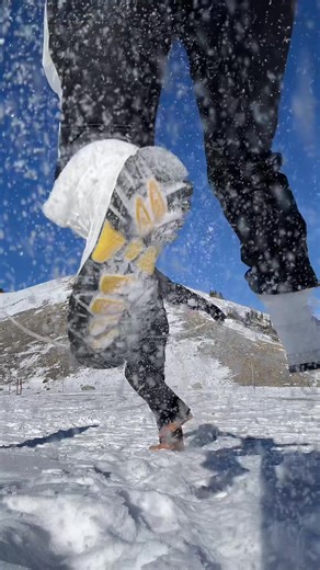 LMAOOOO them falling is so funny | all the stars