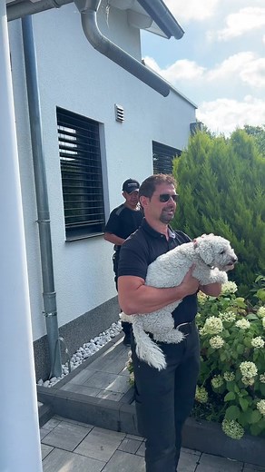 Men Interacting with Small Dog in Beautiful Outdoor Setting