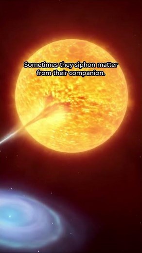 White Dwarf Binary Systems