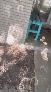 19K views · 145 reactions | During a solar eclipse, the gaps between leaves on trees act as multiple pinhole cameras, and each gap projects its own crescent-shaped image of the eclipsed sun onto the ground. gottigreen | LDI Games | Facebook