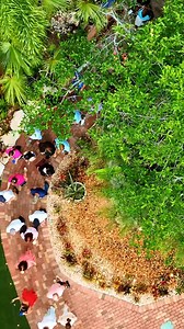 10K views · 179 reactions | Moments that you will NEVER forget. Welcome to paradise. #JungleQueen #FortLauderdale | Jungle Queen | Facebook