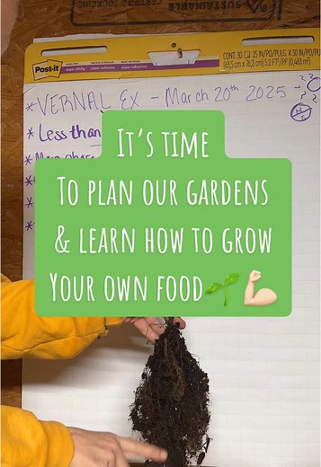 It’s time to plan our gardens, start seeds, and discuss everything about how to grow your own food guys!!! We are less than 60 days away from TRUE SPRING!! #gardentok #planting #plantingseason #garden #gardening #gardeningtips #gardeningtipsforbeginners #backyardgarden #backyardgardening #growingyourownfood #growingfood #creatorsearchinsights