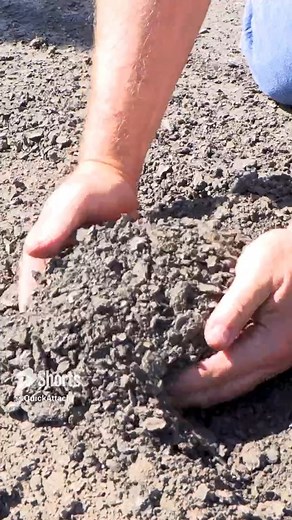 3.7K views | Our Cold Planer is adaptable to every job environment. | Quick Attach Attachments | Facebook