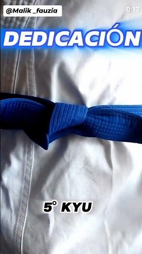 karate Belt Ranking System 🥋 #martialarts#seishinkai shito- ryu Karate
